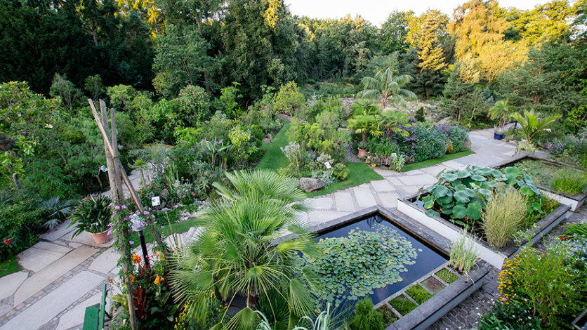 Gärten Botanischer Garten Erlangen