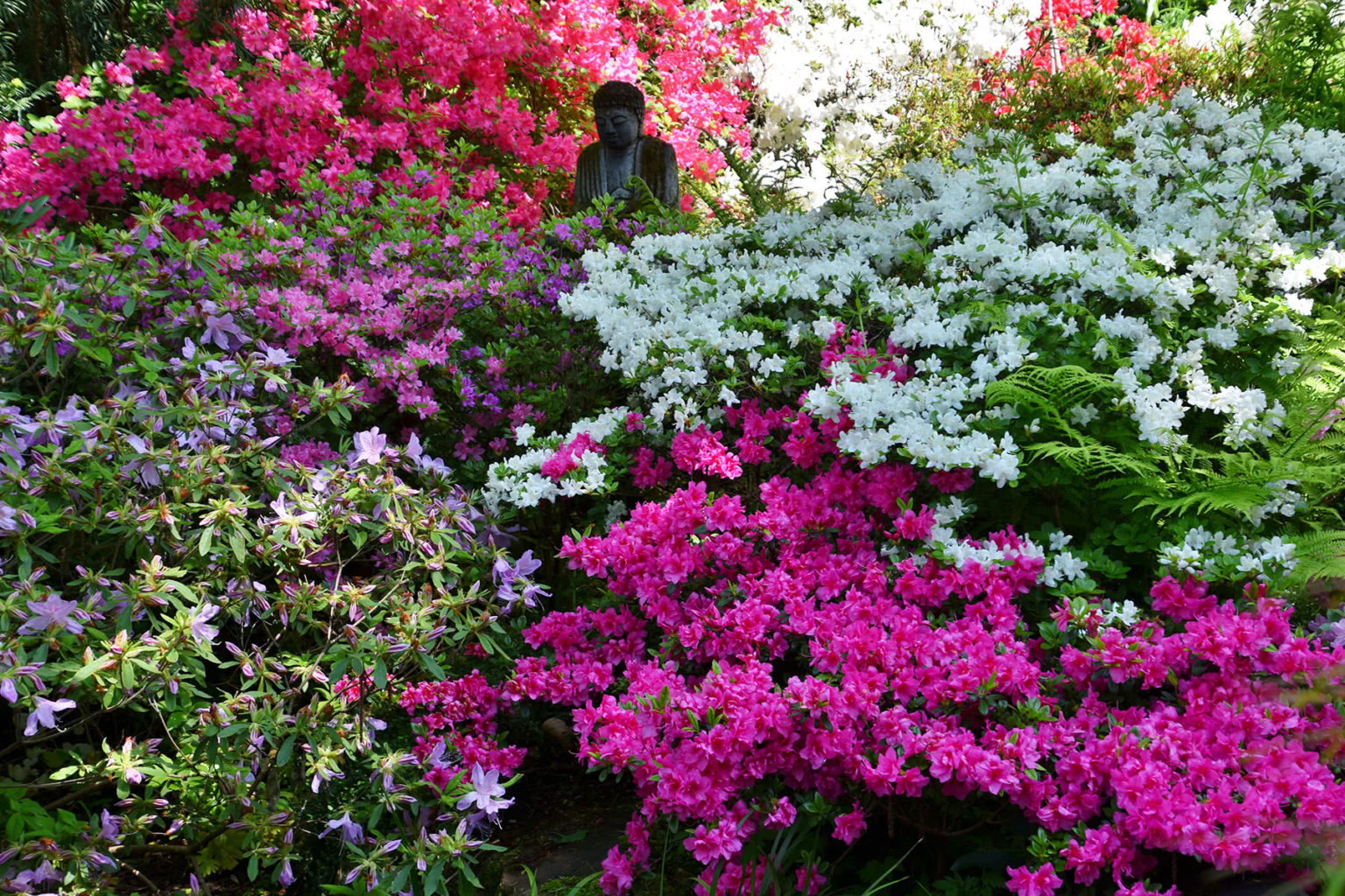 Botanischer Garten Botanischer Garten Erlangen