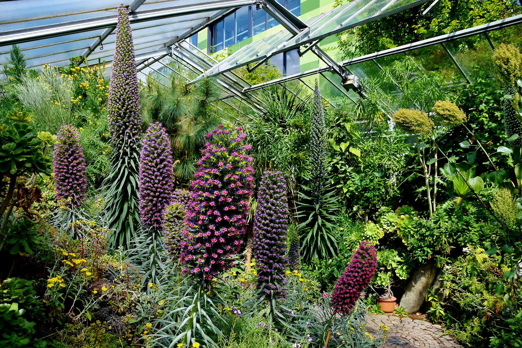 Botanischer Garten Botanischer Garten Erlangen