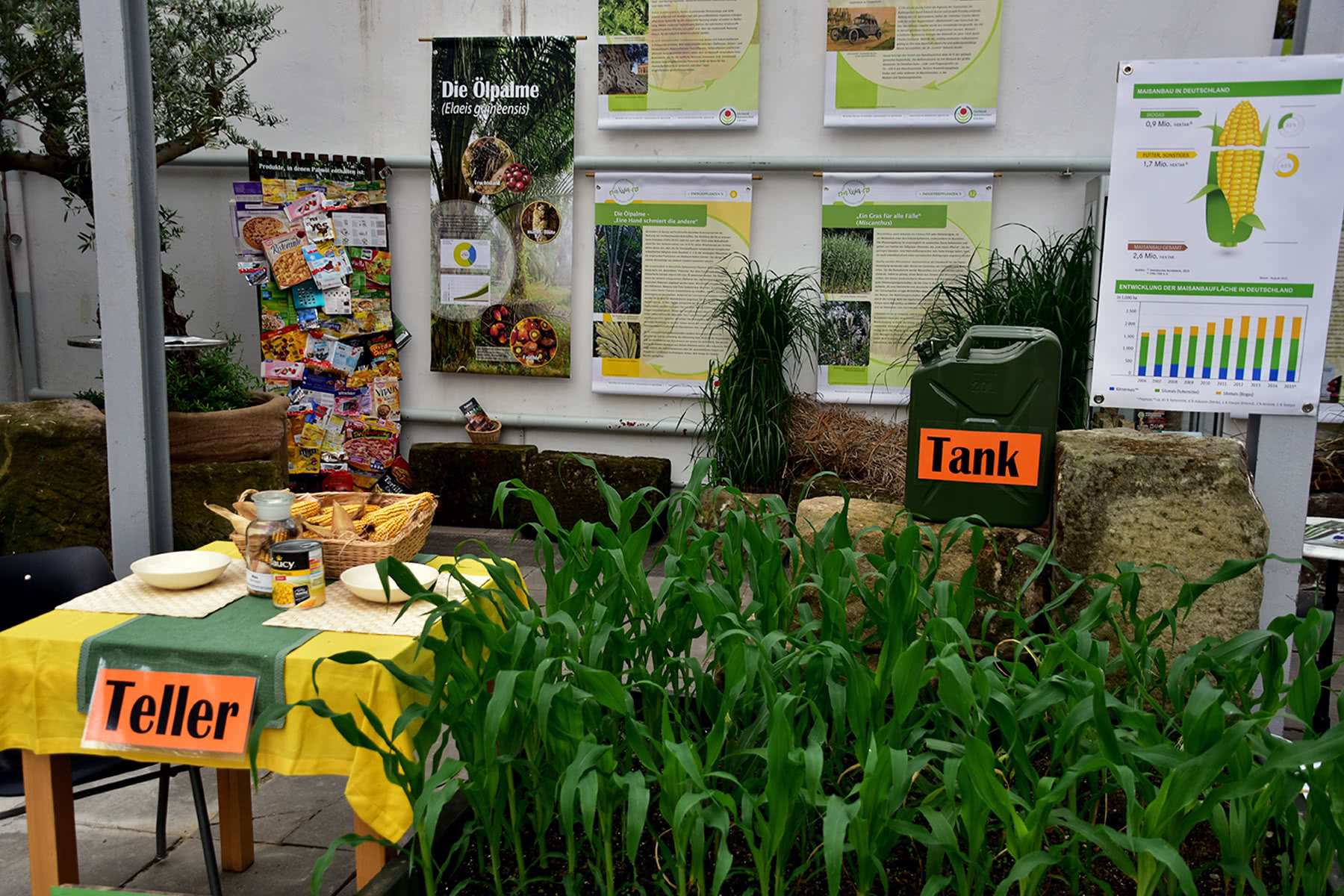 Ausstellungen Botanischer Garten Erlangen