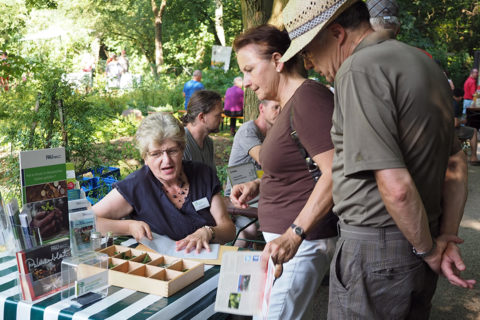 Betreuung des Duft-Memorys zu Pflanzen am Aromagartenfest durch Gudrun Koch