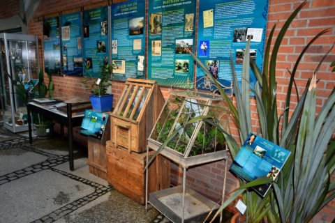 Die Ausstellung `Forscher, Sammler, Pflanzenjäger´ des Verbandes Botanischer Gärten e. V. im Eingang zu den Gewächshäusern des Botanischen Gartens Erlangen