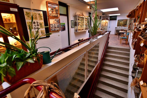 Zum Artikel "Geschichten von Samen und Früchten"