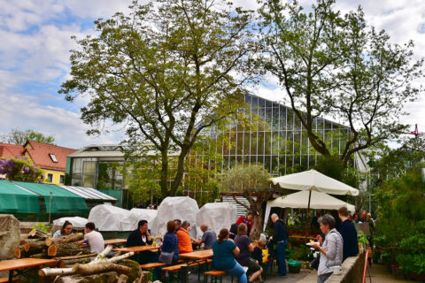 Kaffee und Kuchen auf dem Wirtschaftshof des Botanischen Gartens