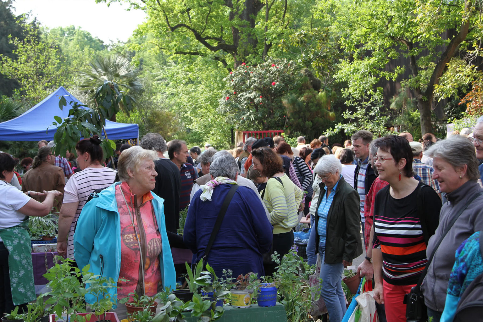 Pflanzenbörse Botanischer Garten Erlangen