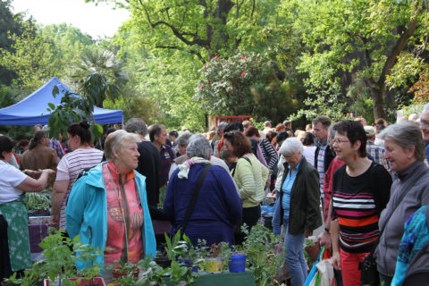 Blick auf den Wirtschaftshof anlässlich der Pflanzenbörse im Botanischen Garten