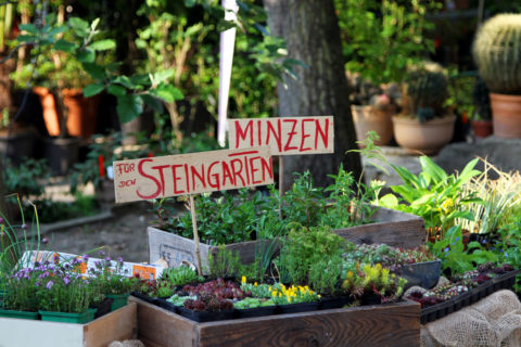 Liebevoll gestaltete Stände auf dem Wirtschaftshof des Botanischen Gartens