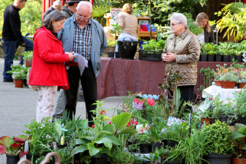 Stand-Abstimmung an der Pflanzenbörse im Botanischen Garten