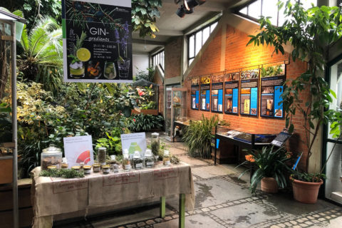 Ausstellung `GIN-gredients´ im Winter 2019 im Botanischen Garten der FAU