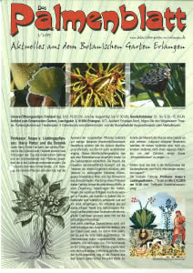 Titelseite Palmenblatt 3/2005