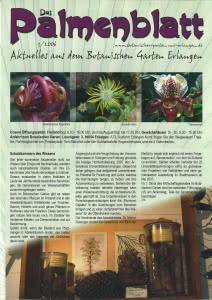 Titelseite Palmenblatt 3/2006