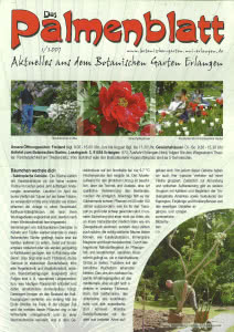 Titelseite Palmenblatt 1/2007
