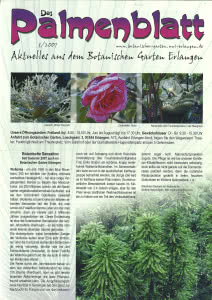 Titelseite Palmenblatt 3/2007