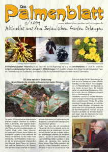 Titelseite Palmenblatt 3/2009
