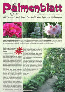 Titelseite Palmenblatt 1/2010