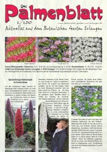 Titelseite Palmenblatt 2/2010