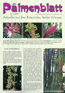 Titelseite Palmenblatt 3/2010