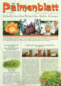 Titelseite Palmenblatt 1/2011