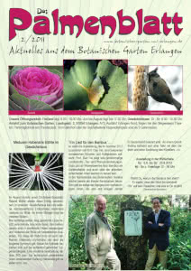 Titelseite Palmenblatt 2/2011