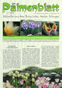 Titelseite Palmenblatt 1/2013