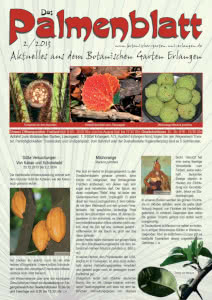 Titelseite Palmenblatt 2/2013