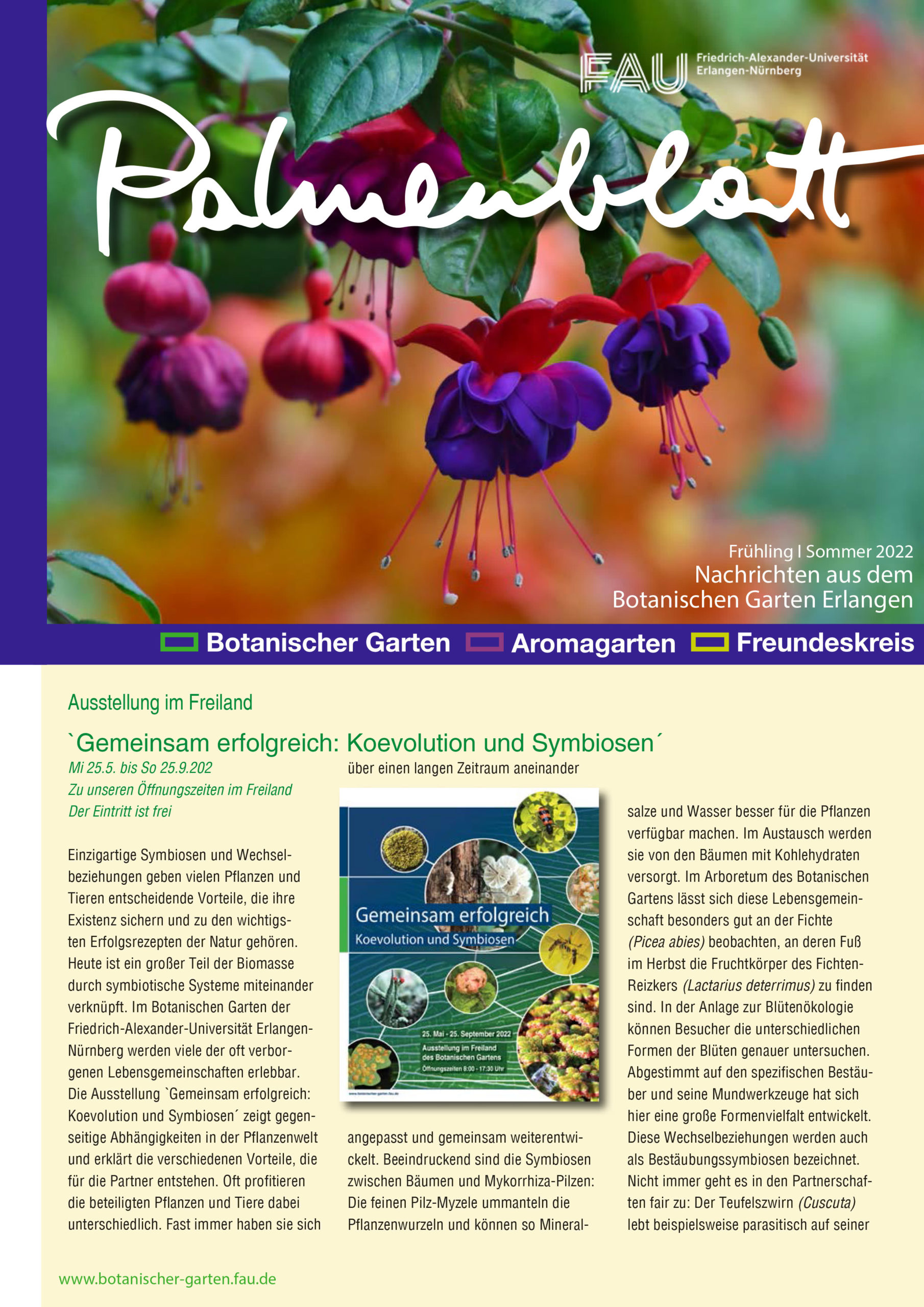 Palmblatt1—2022web1_guetzli › Botanischer Garten Erlangen
