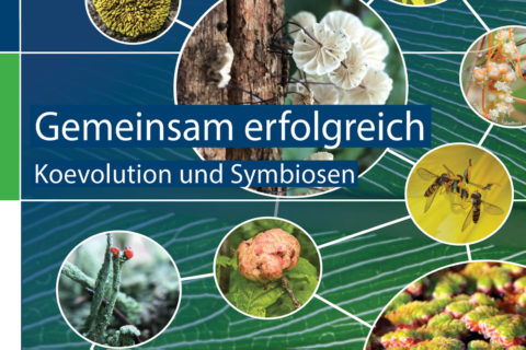 Zum Artikel "Gemeinsam erfolgreich: Koevolution und Symbiosen"