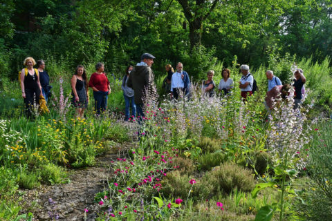 Zum Artikel "Aromagartenfest"