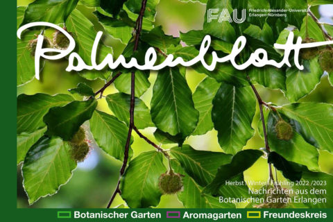 Zum Artikel "Palmenblatt Herbst / Winter / Frühjahr 2022 – 2023"