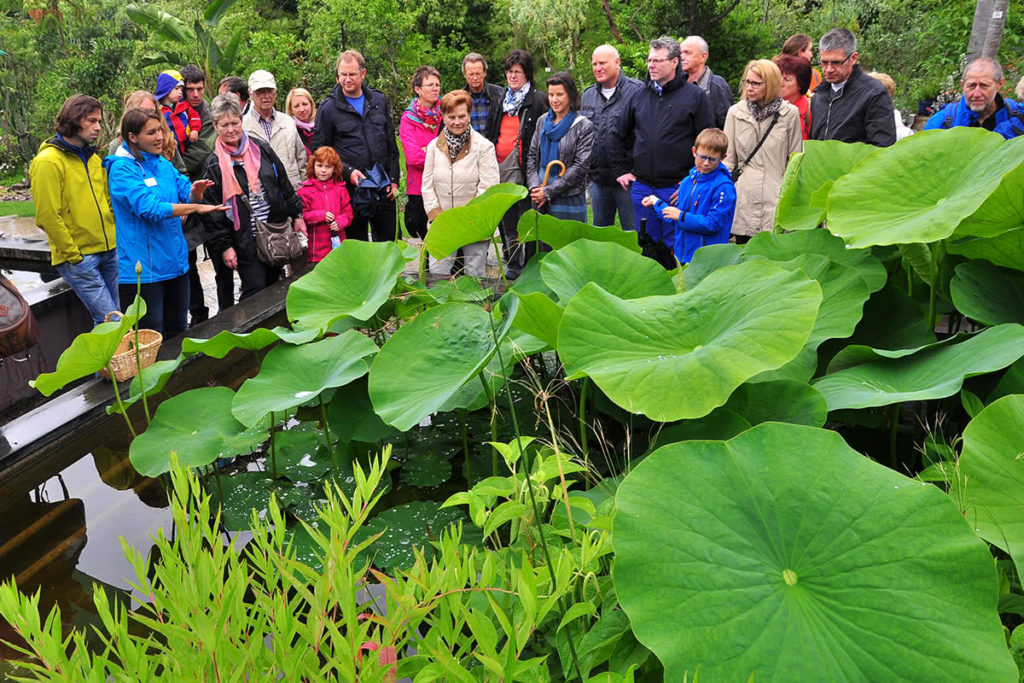 Bildung Botanischer Garten Erlangen