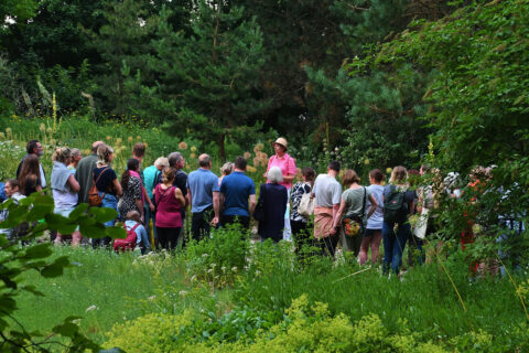 Zum Artikel "Aromagartenfest"