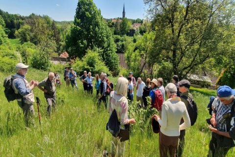 Zum Artikel "Über Gräfenberg zum „Teufelstisch“ auf dem Eberhardsberg"