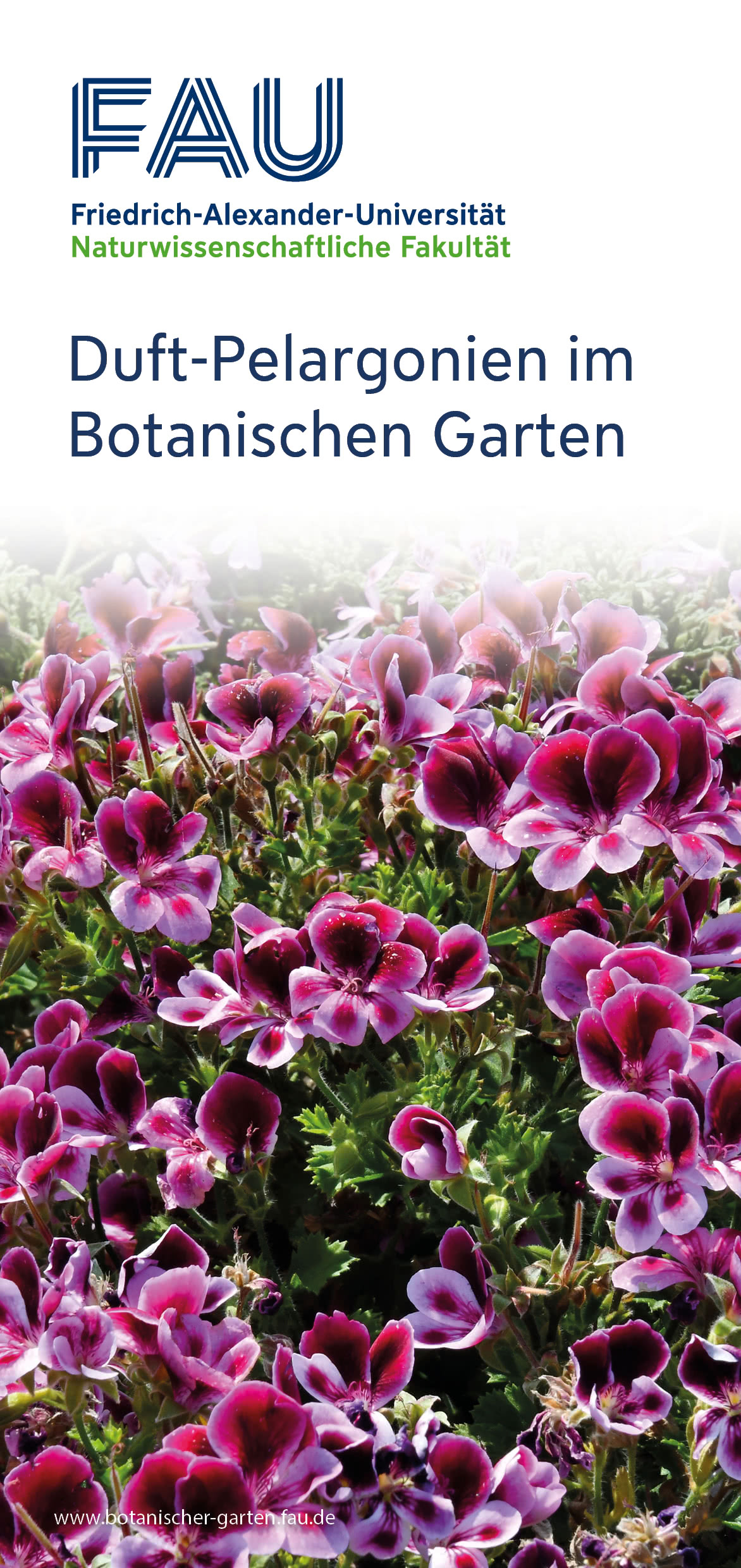 Titelseite Aromagarten-Flyer