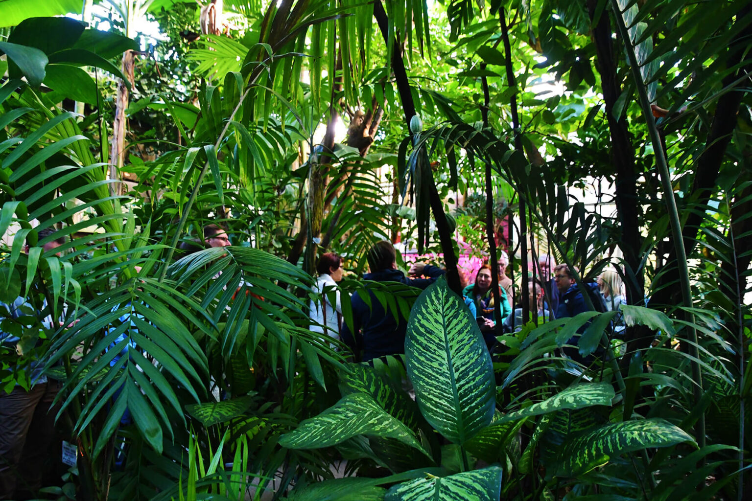 Regenwaldgeschichten Botanischer Garten Erlangen