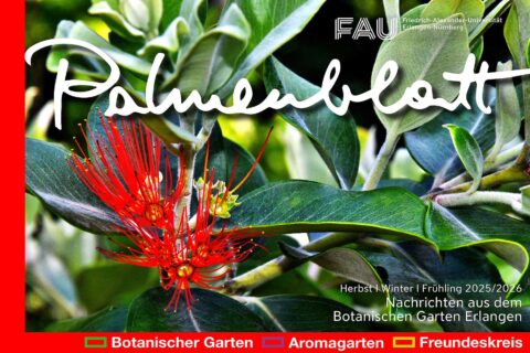 Zum Artikel "Palmenblatt Herbst / Winter 2025 / 2026"