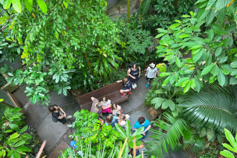 Zum Artikel "Botanische Gärten in Bayern – Grüne Schatzkammern der Vielfalt"