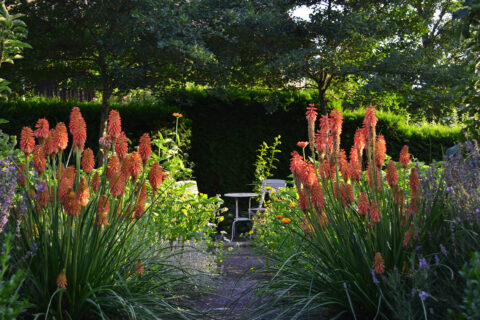 Zum Artikel "Paradiesische Gärten vor der eigenen Haustüre"