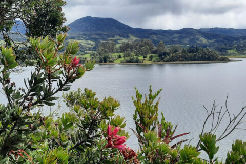 Symbolbild zum Artikel. Der Link öffnet das Bild in einer großen Anzeige.