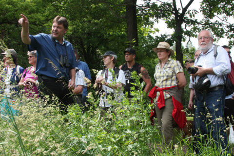 Zum Artikel "Botanische Wanderung im Weihergebiet bei Poppenwind"